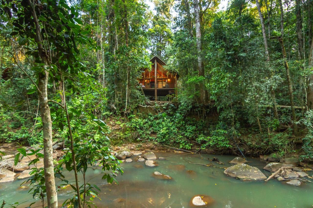 The Canopy Rainforest Treehouses & Wildlife Sanctuary Tarzali Exteriör bild